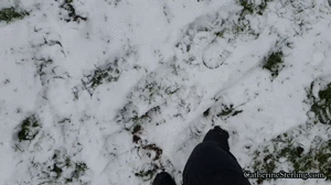 catherinesterling.com - 0014 Foot Fetishist's Snow Day! thumbnail
