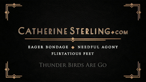 catherinesterling.com - 0288 Thunder Birds Are Go thumbnail